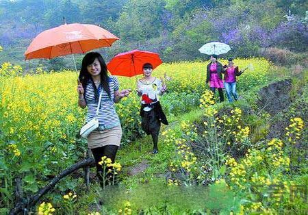 清明節(jié)為什么要踏青？清明節(jié)踏青有什么好處？