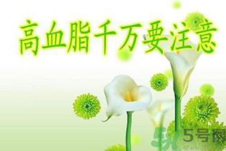 高血脂會頭暈嗎？高血脂會引起高血壓嗎？
