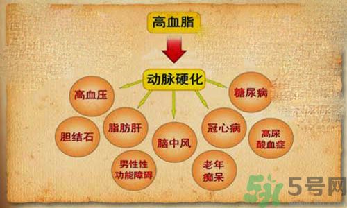 高血脂會頭暈嗎？高血脂會引起高血壓嗎？