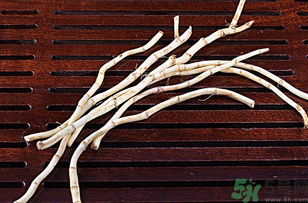 魚腥草能泡水喝嗎？魚腥草泡水喝有什么功效？