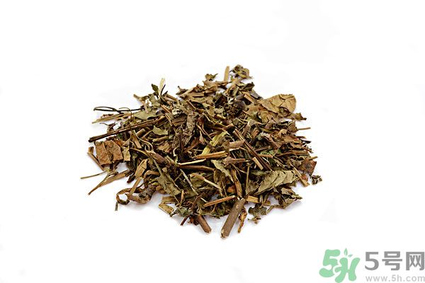 魚腥草能泡水喝嗎？魚腥草泡水喝有什么功效？