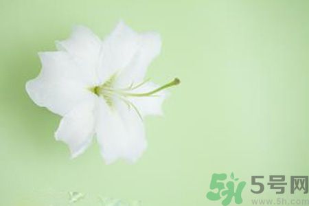 春季咳嗽怎么辦？春季咳嗽吃什么好？