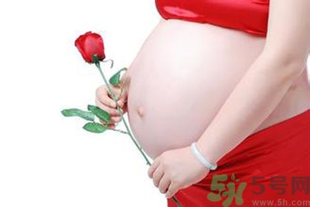 孕婦可以吃枸杞嗎？孕婦吃枸杞好嗎？