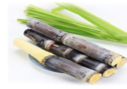 清明節(jié)可以吃甘蔗嗎？清明節(jié)不能吃哪些食物？