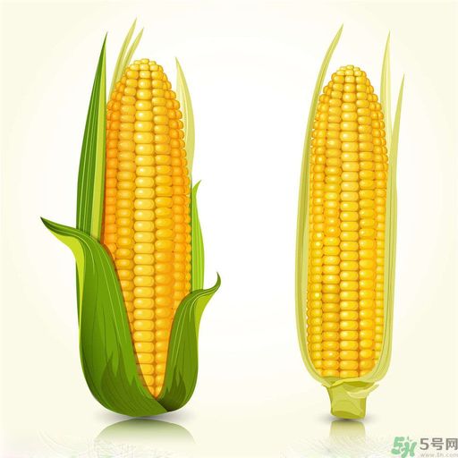糖尿病可以吃玉米嗎？糖尿病吃玉米好嗎？