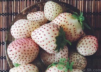 菠蘿莓好吃嗎？菠蘿莓好不好吃？