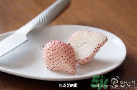菠蘿莓好吃嗎？菠蘿莓好不好吃？