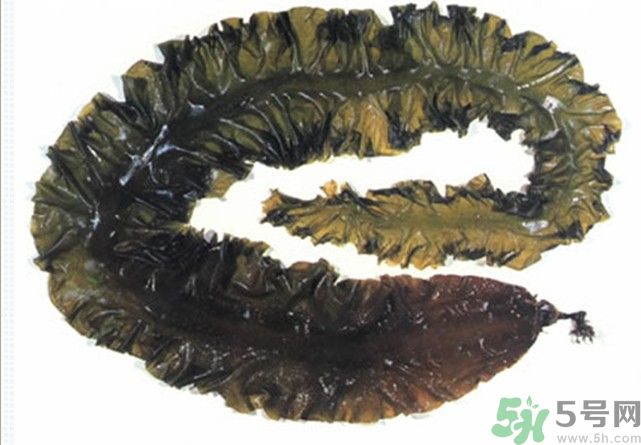 海帶用冷水泡還是熱水泡發(fā)？海帶怎么泡才不會發(fā)硬？