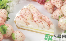 白草莓的營(yíng)養(yǎng)價(jià)值有哪些?白草莓的功效與作用