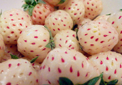 菠蘿莓孕婦能吃嗎？菠蘿莓懷孕可以吃嗎？