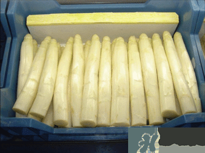 吃蘆筍注意事項有哪些？蘆筍有什么藥用功效？