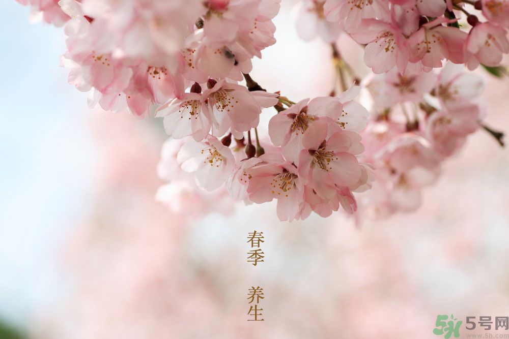 女性春季養(yǎng)生吃什么？女性春季怎么養(yǎng)生？