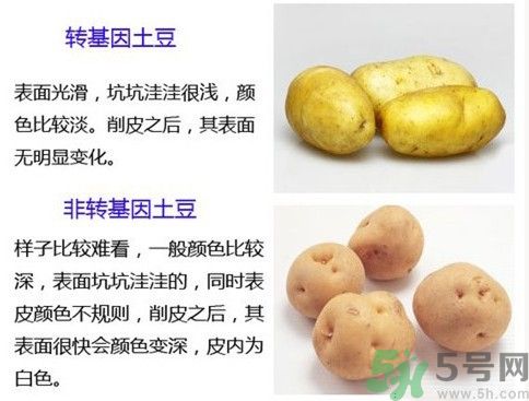 土豆變綠還能吃嗎？土豆變綠有什么危害？