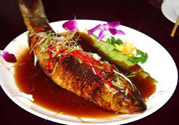 痛風(fēng)可以吃魚(yú)嗎？痛風(fēng)可以吃什么魚(yú)？