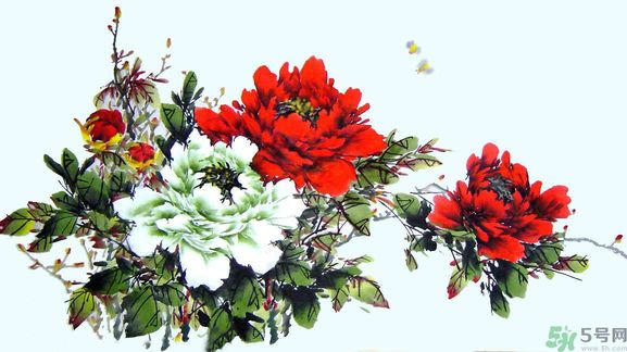 牡丹的花語是什么？牡丹的寓意是什么？