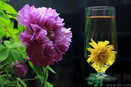牡丹花可以和菊花一起泡嗎？牡丹花和菊花一起泡茶好嗎？