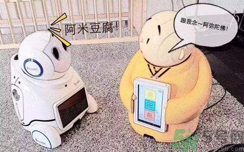 機(jī)器僧哪里可以買到？機(jī)器僧多少錢？