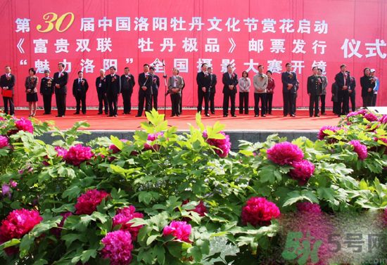 洛陽牡丹文化節(jié)活動(dòng)有哪些？洛陽牡丹文化節(jié)門票是多少？