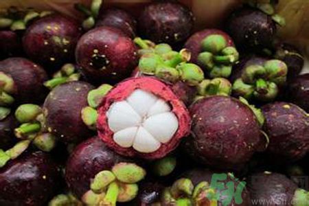 山竹可以和牛奶一起吃嗎？山竹和牛奶一起吃好嗎？