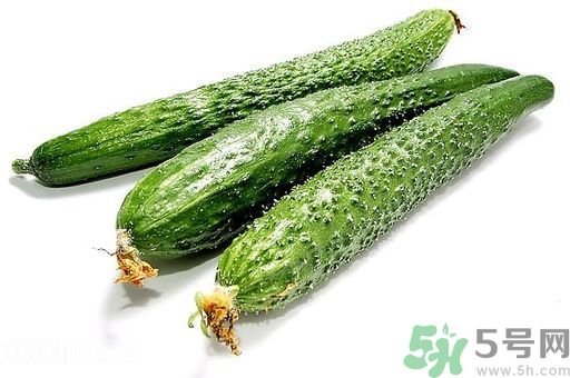 孕婦可以吃生黃瓜嗎？孕婦可以生吃黃瓜嗎？