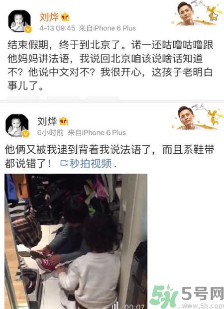 諾一雪梨是誰？為什么叫諾一雪梨？