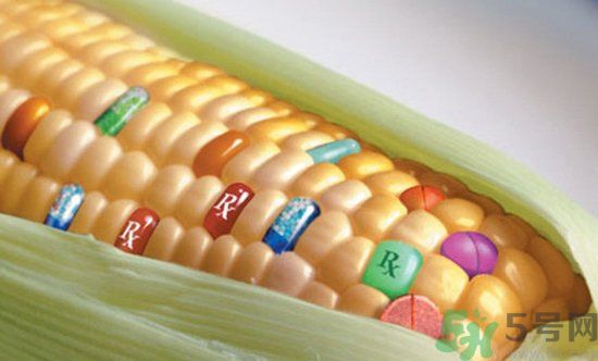 農(nóng)業(yè)部怎樣回應(yīng)轉(zhuǎn)基因食品？轉(zhuǎn)基因的食物有哪些？
