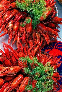 油燜大蝦用的是什么蝦？油燜大蝦用什么蝦最好？