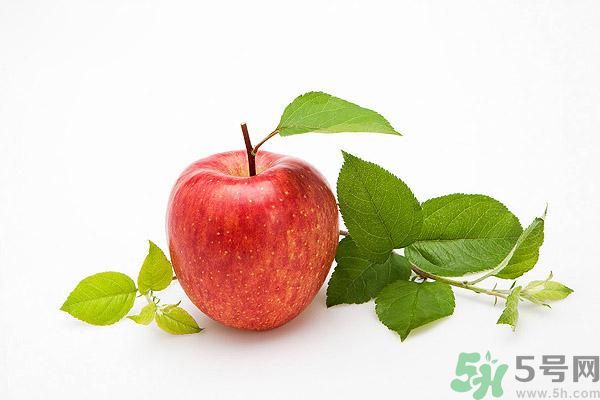 晚上9點(diǎn)以后可以吃蘋果嗎？晚上吃蘋果好不好？