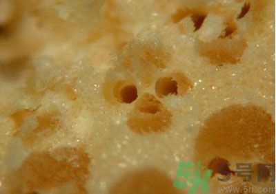 經常用一次性筷子可以嗎？一次性筷子有病毒嗎？