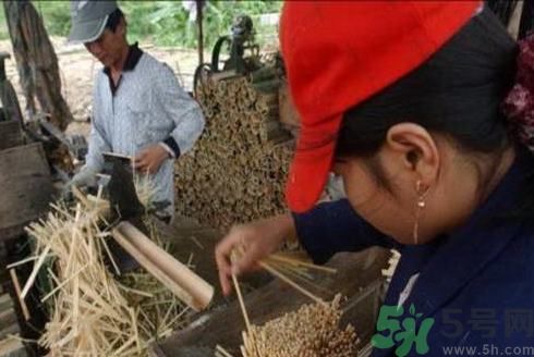 經常用一次性筷子可以嗎？一次性筷子有病毒嗎？