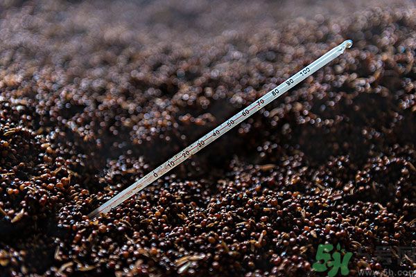 嬰兒測(cè)溫湯匙怎么樣？嬰兒測(cè)溫湯匙好用嗎？