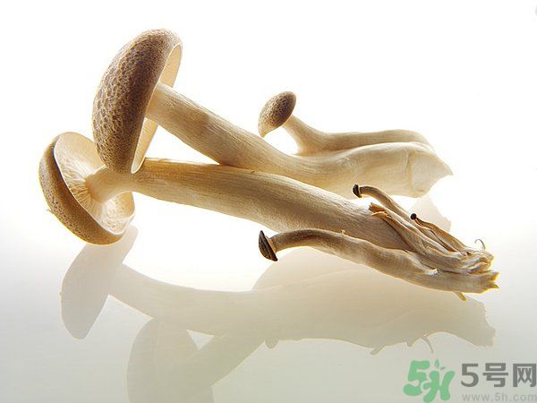 菇類的營(yíng)養(yǎng)價(jià)值有哪些？怎樣挑選優(yōu)質(zhì)的菇類？