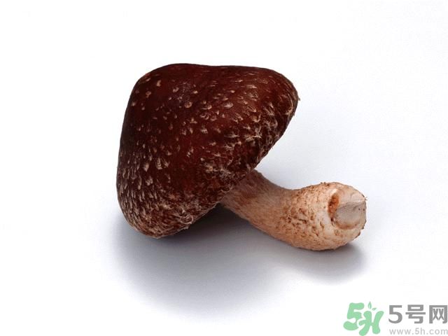 西紅柿發(fā)青可以吃嗎？青西紅柿吃了好不好？
