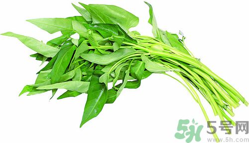 空心菜和雞能一起吃嗎？空心菜怎么吃有營養(yǎng)？