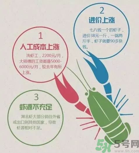 小龍蝦多少錢一斤？吃小龍蝦要注意些什么？