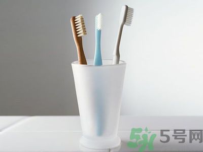 牙齦出血要換牙刷嗎？牙刷多久換一次好？
