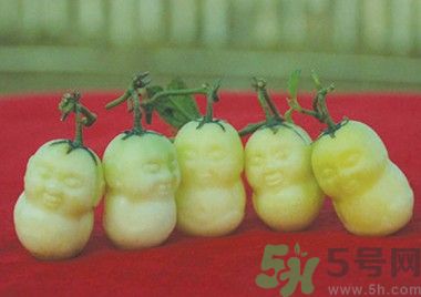人參果怎么吃？人參果的營(yíng)養(yǎng)價(jià)值有哪些？