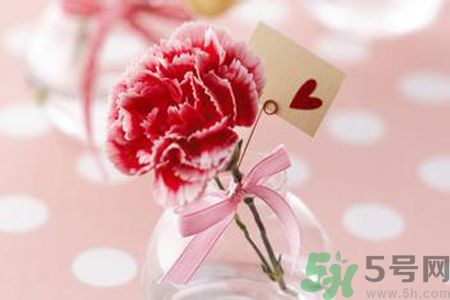 母親節(jié)送幾朵康乃馨好？母親節(jié)應(yīng)該送幾朵康乃馨？