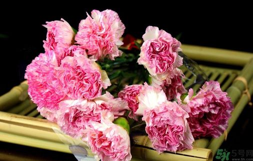 母親節(jié)送什么花好？母親節(jié)應該送什么鮮花？