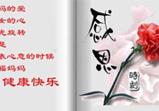 母親節(jié)送什么花好？母親節(jié)應(yīng)該送什么鮮花？