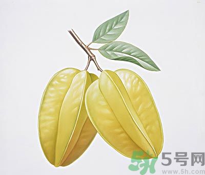 楊桃和什么不能一起吃？楊桃不能與什么同食？