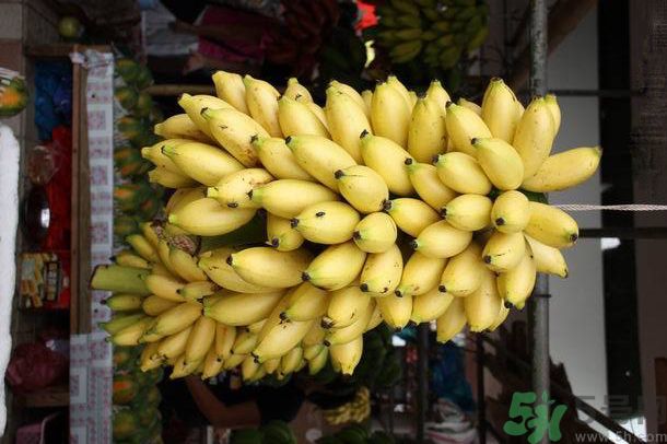 孕婦可以吃牛奶蕉嗎？孕婦吃牛奶蕉好嗎？