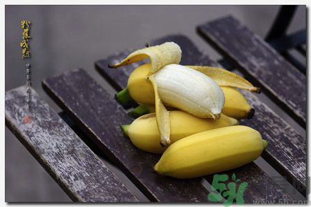 什么是牛奶蕉？牛奶蕉好吃嗎？