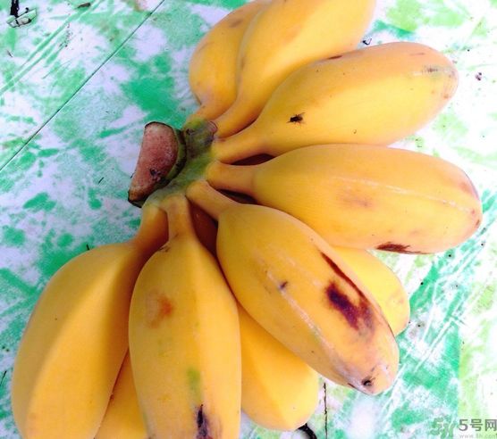 什么是牛奶蕉？牛奶蕉好吃嗎？
