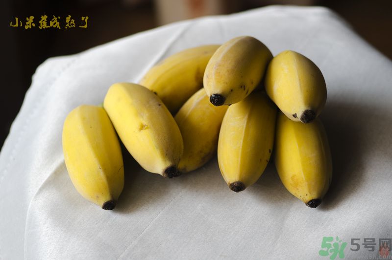 牛奶蕉可以和蘋(píng)果一起吃嗎？牛奶蕉和蘋(píng)果一起吃好嗎？