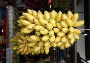 牛奶蕉是熱性還是涼性？牛奶蕉是涼性嗎？