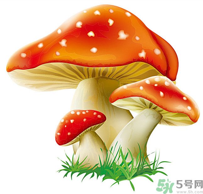 吃蘑菇可以喝酒嗎？吃蘑菇喝酒會(huì)中毒嗎？