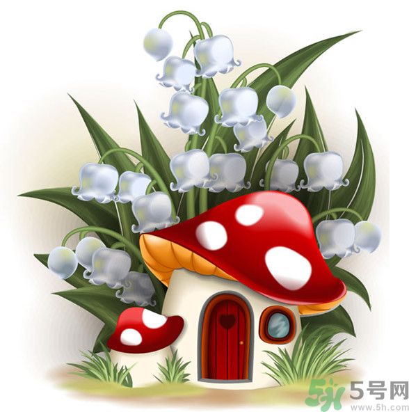 吃蘑菇可以喝酒嗎？吃蘑菇喝酒會(huì)中毒嗎？