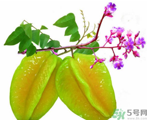 慢性腎炎可以吃楊桃嗎？慢性腎炎吃楊桃好嗎？