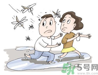 被蚊子咬很癢怎么辦？被蚊子咬要怎么止癢？